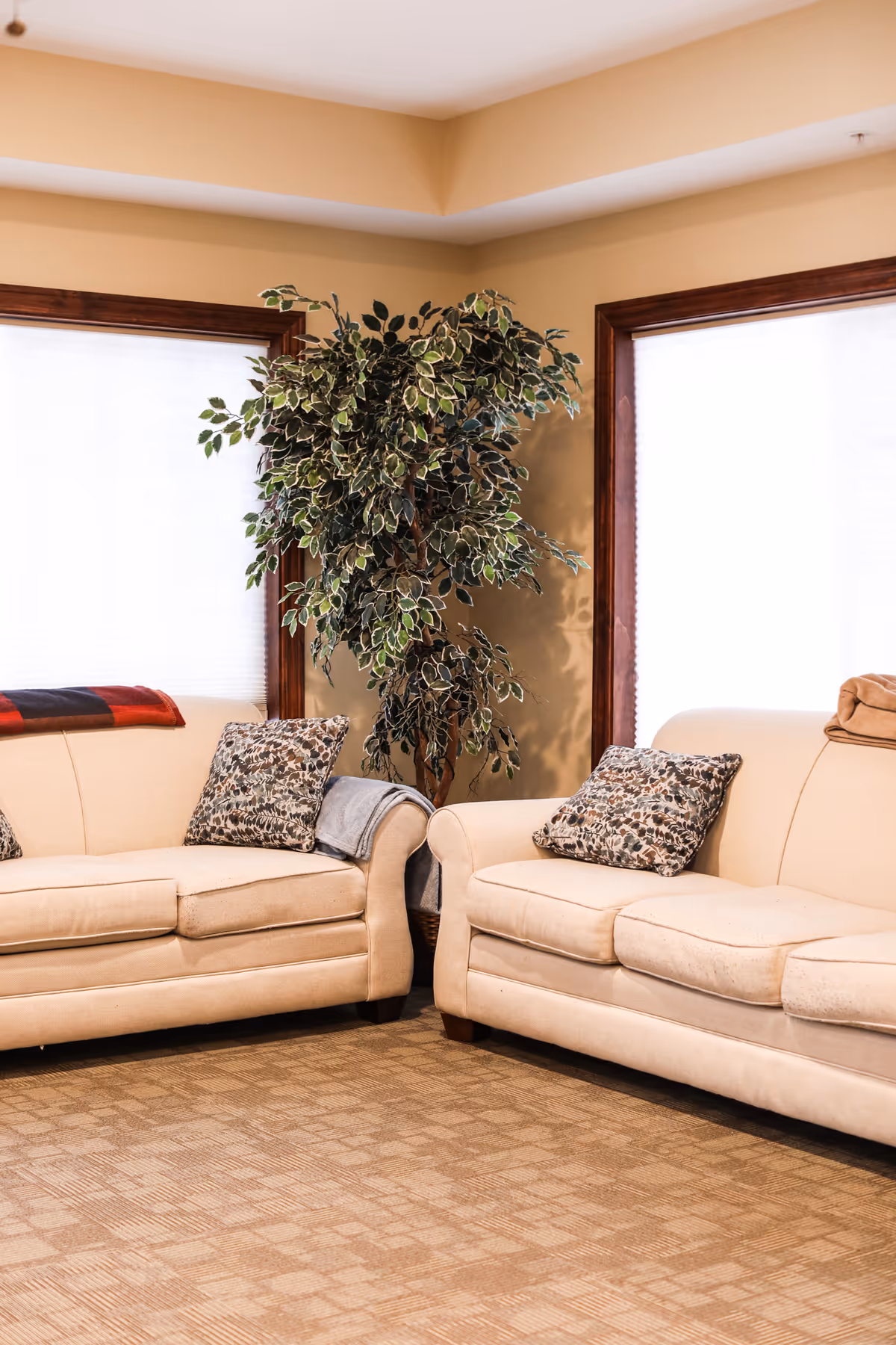 A cozy living room area with two beige sofas facing each other, each adorned with patterned throw pillows and a blanket. Between the sofas is a large leafy green plant. The room has beige walls and two windows with white blinds and dark wooden frames.