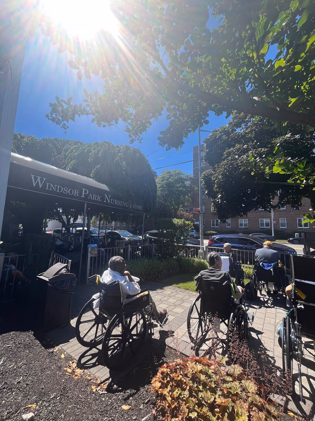 Several elderly individuals in wheelchairs sitting outside in a garden area near the entrance of Windsor Park Nursing Home on a sunny day with trees and a clear blue sky.