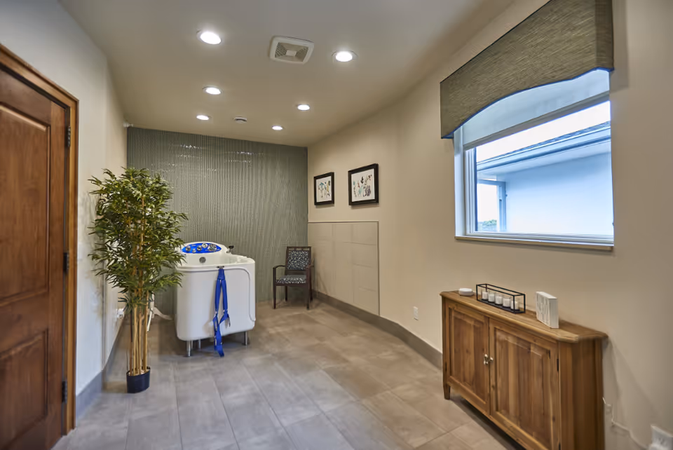 A clean and modern bathing room with a white walk-in bathtub equipped with blue safety straps. The room has beige walls, a tiled floor, a wooden door on the left, a potted plant next to the bathtub, a single chair against the far wall, two framed artworks above the chair, and a wooden cabinet under a window with a green valance on the right.