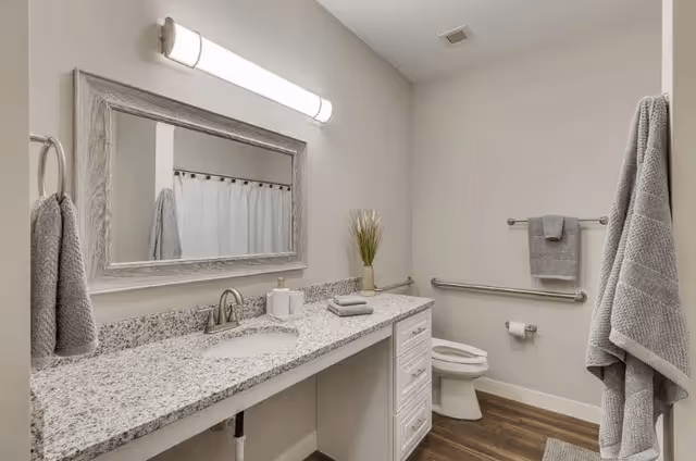 A clean and modern bathroom with a granite countertop, an under-mount sink, a large framed mirror, and a wall-mounted light fixture above the mirror. There are gray towels hanging on a ring and a bar, a white toilet with grab bars on the wall, a small plant on the counter, and wood-style flooring.