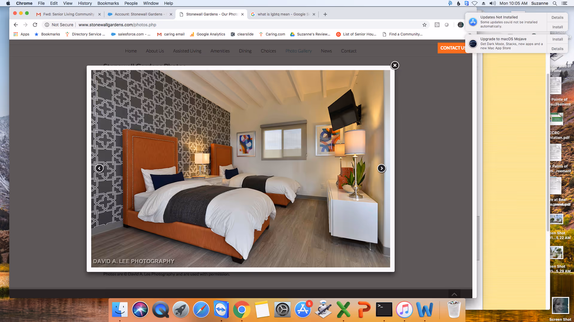 A modern bedroom with two twin beds featuring orange upholstered headboards and white bedding with dark gray throws. The room has a patterned gray accent wall behind the beds, a window with a gray roller shade, two abstract art pieces on the wall, a white nightstand with a lamp between the beds, and a white console table with a lamp, plant, and wall-mounted TV on the opposite side.