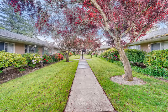 Concrete walkway through a landscaped courtyard between single-story retirement buildings with grass, shrubs and purple-leaf trees.