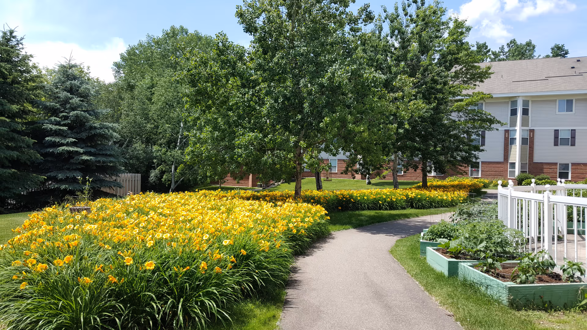 A winding paved pathway through a garden area with vibrant yellow flowers on the left and raised garden beds with green plants on the right. Several trees provide shade, and a multi-story building with white siding and brick accents is visible in the background under a partly cloudy sky.
