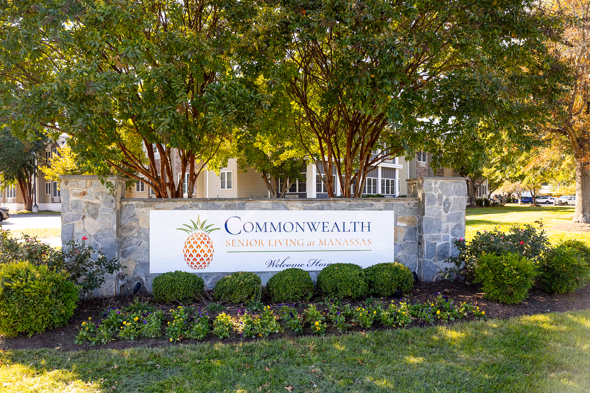 Stone entrance sign for Commonwealth Senior Living at Manassas, surrounded by trees and shrubs.