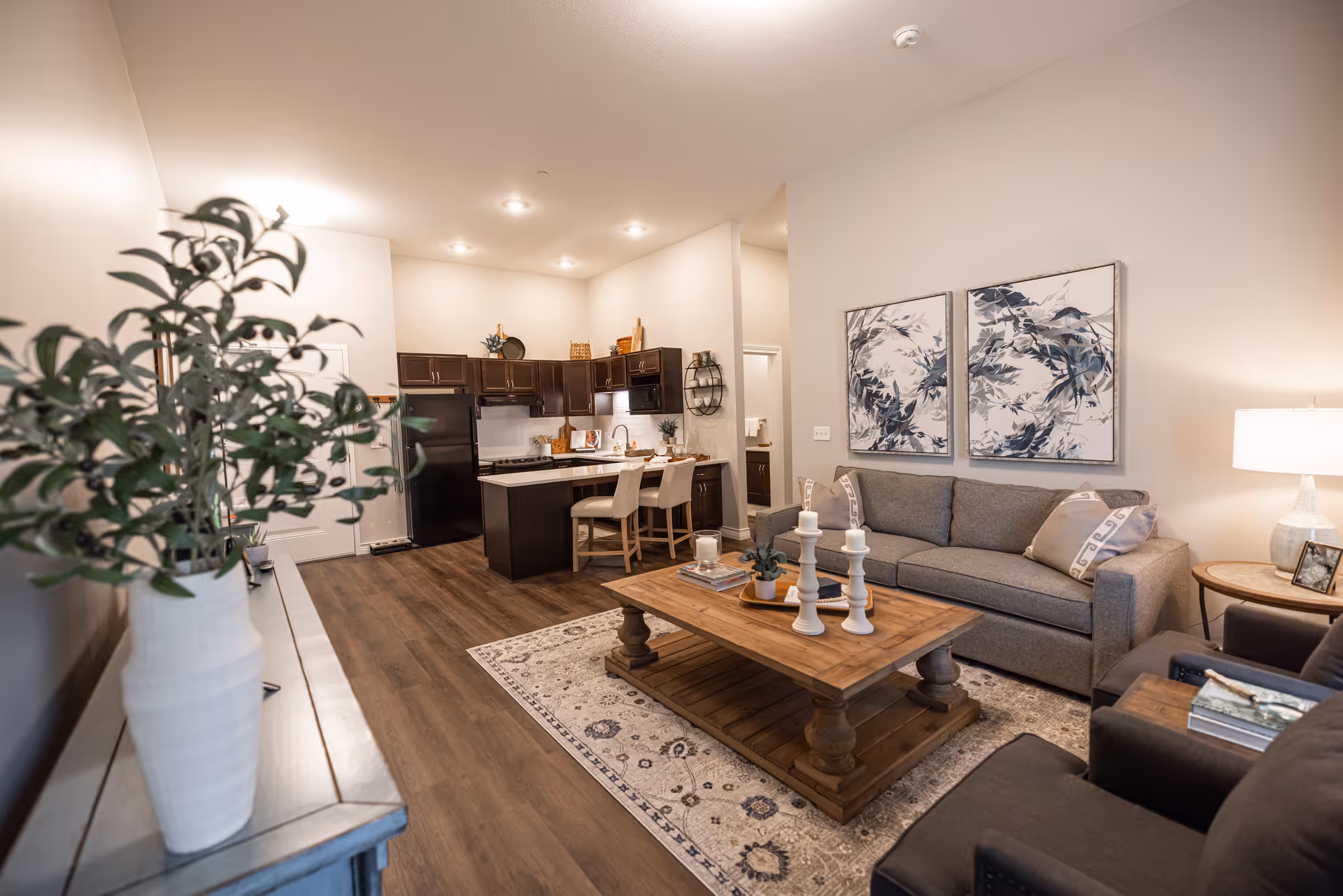 Open-plan living room and kitchen featuring a gray sofa, wooden coffee table on a patterned rug, a kitchen island with stools, and a potted plant in the foreground.