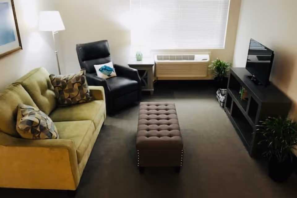 A cozy living room with a green sofa adorned with patterned pillows, a black armchair with a fish-themed pillow, a tufted ottoman in the center, a floor lamp, a side table with a small plant, a window with blinds, an air conditioning unit below the window, a TV on a dark-colored stand, and two potted plants on the floor.