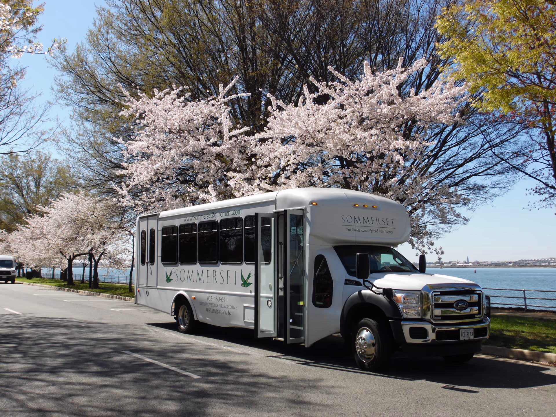 A white Sommerset retirement community shuttle bus parked along a waterfront road under blooming cherry trees.