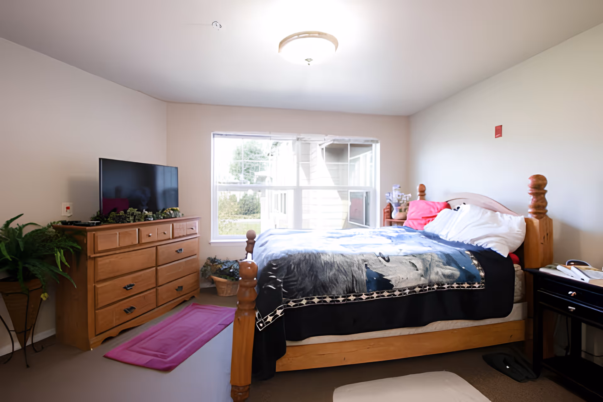A bright bedroom with a wooden bed featuring a blanket with a wolf design, white and red pillows, a wooden dresser with a flat-screen TV on top, a pink rug on the floor, and a large window letting in natural light. There are plants near the dresser and a small black nightstand with books and a lamp beside the bed.