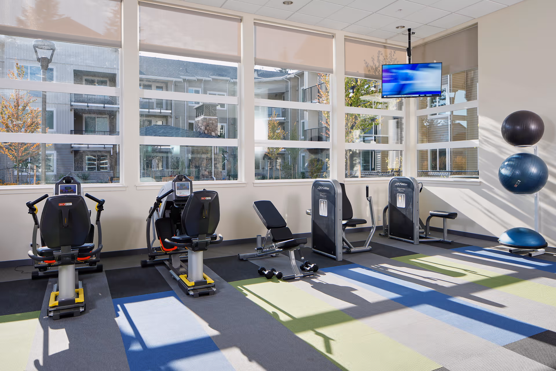 Well-lit exercise room with recumbent bikes, strength machines, stability balls and a wall-mounted TV in front of large windows.