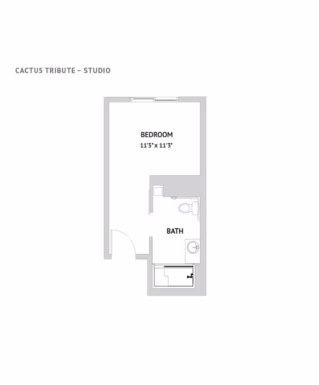 Floor plan layout of a studio apartment named Cactus Tribute, showing a bedroom area measuring 11 feet 3 inches by 11 feet 3 inches, and a bathroom with a toilet, sink, and bathtub.