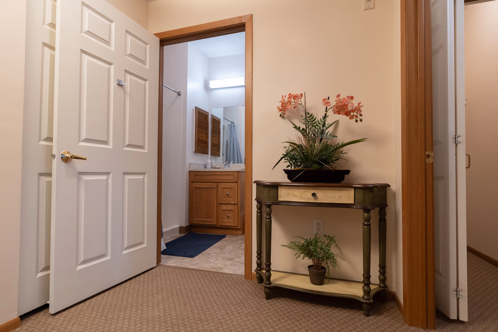 Carpeted hallway with an open door to a bathroom and a small console table topped with potted plants.