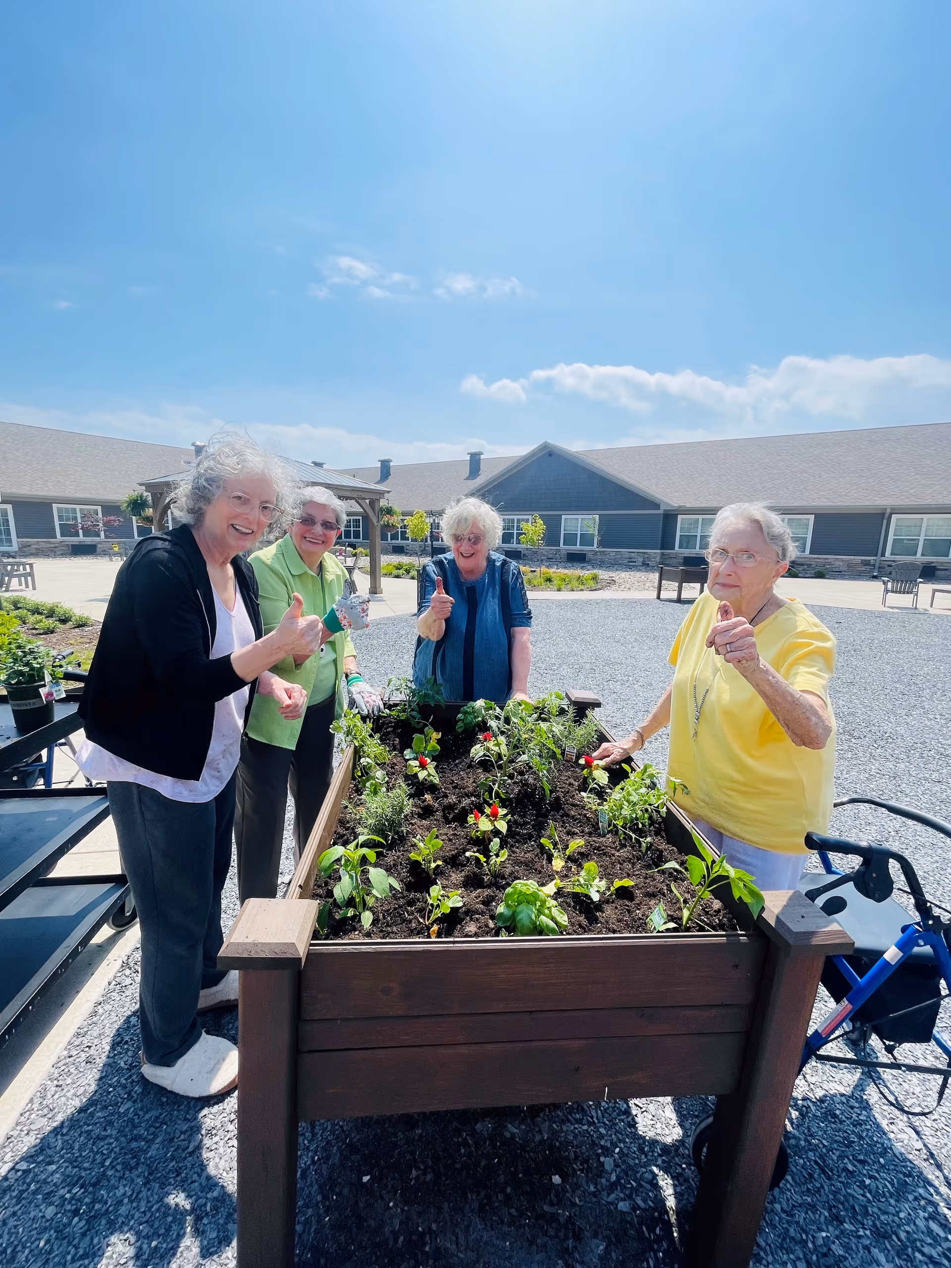 Four elderly women standing around a raised garden bed outdoors on a sunny day, smiling and giving thumbs up. The garden bed contains various small plants and flowers. In the background, there is a single-story building with multiple windows and a clear blue sky.