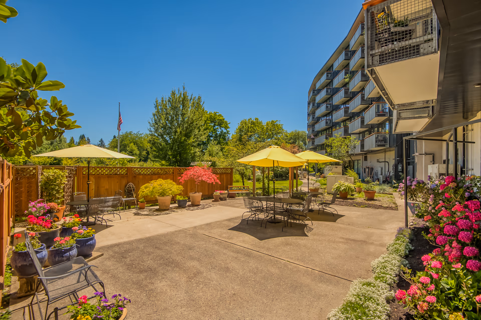 Sunlit outdoor patio with tables and yellow umbrellas, potted flowers, and a multi-story building with balconies in the background.