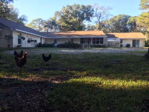 Exterior of a single-story senior living facility, A Country Place, with a grassy yard and chickens.