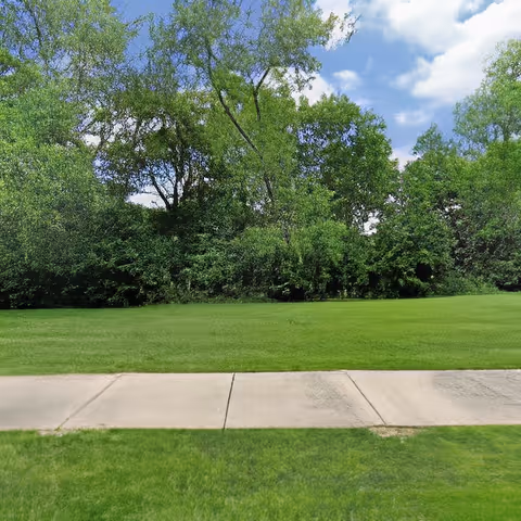 A well-maintained green lawn with a concrete sidewalk in the foreground and a dense line of leafy green trees under a partly cloudy blue sky in the background.