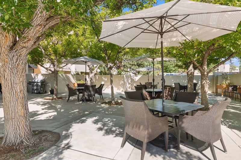 Shaded outdoor patio with multiple wicker dining tables, chairs, umbrellas, and surrounding trees.