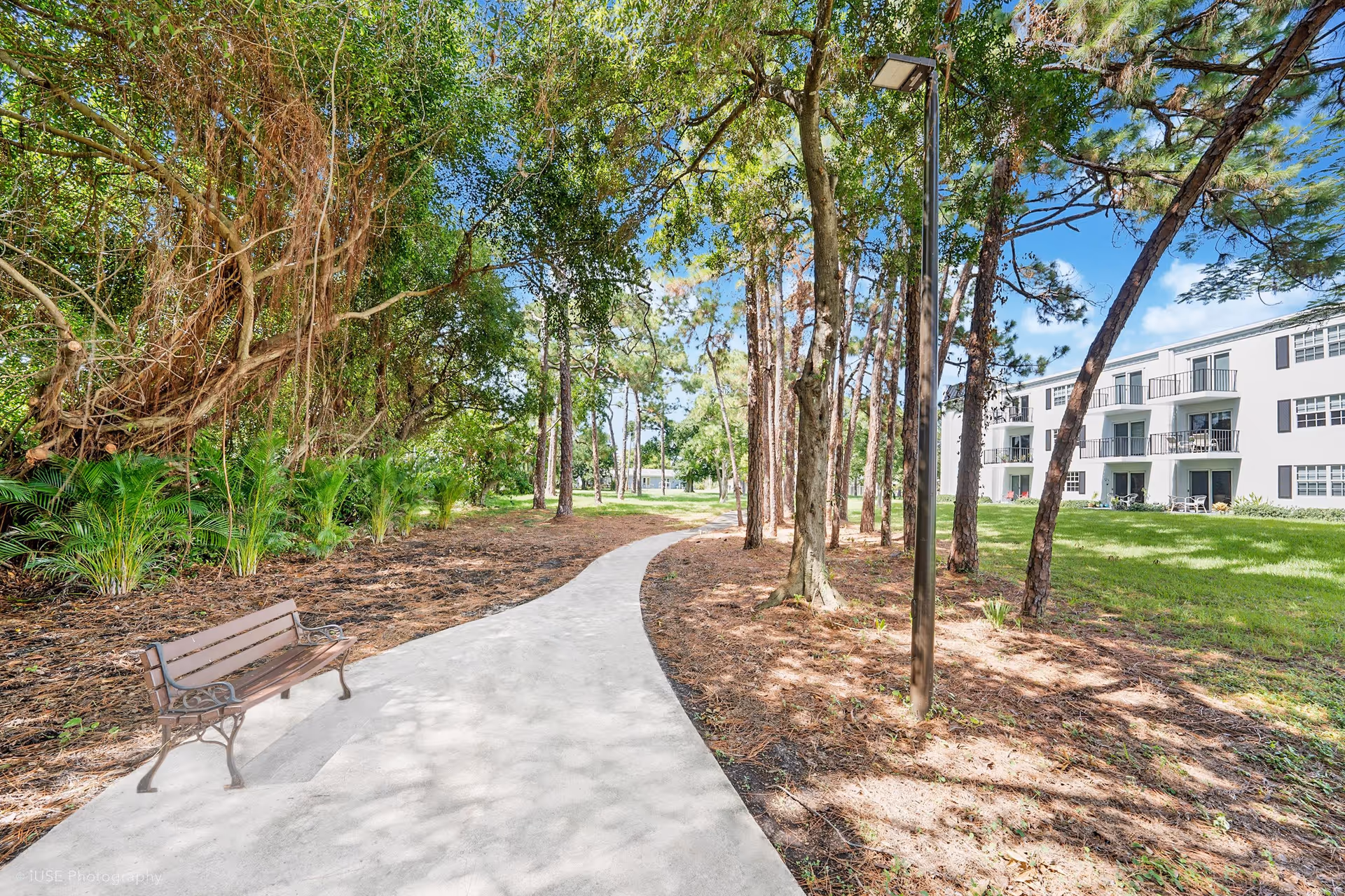A winding concrete pathway through a wooded area with tall trees and green shrubs. A brown bench is positioned along the path on the left side. On the right side, there is a grassy area with a multi-story white building featuring balconies. The sky is clear and blue with some clouds.