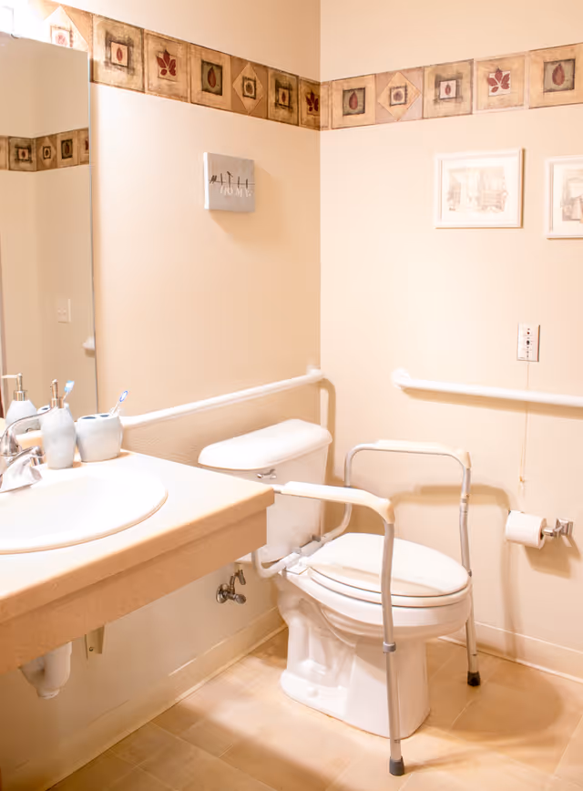 Well-lit accessible bathroom with a sink and mirror, a toilet fitted with a safety frame, and wall grab bars.
