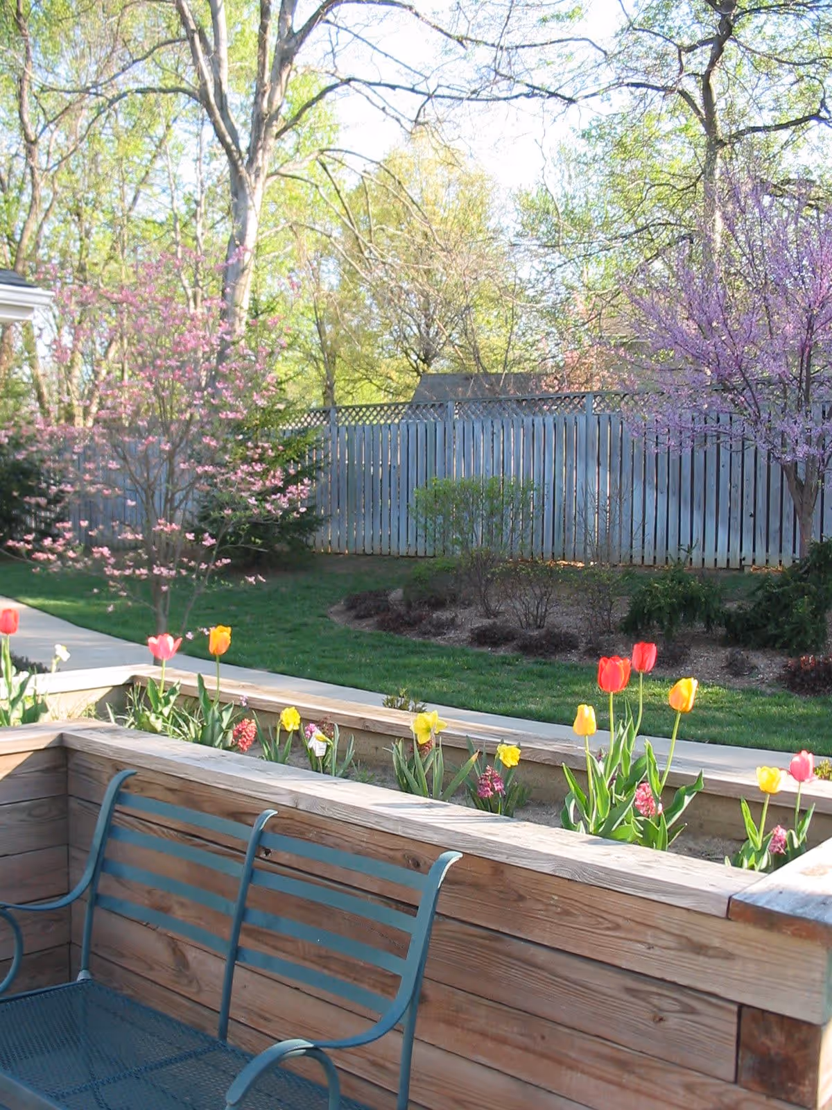 Outdoor garden area with a wooden bench and planter box filled with colorful tulips and other flowers. Trees with blooming pink and purple flowers and a wooden fence are visible in the background under a clear sky.