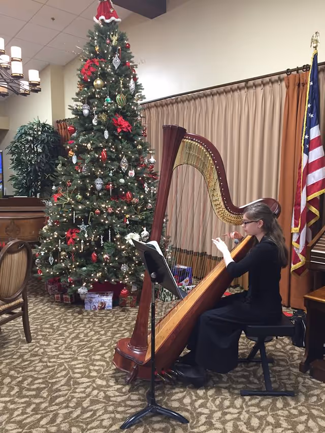 A woman dressed in black is seated and playing a large wooden harp in a room decorated for Christmas. There is a tall Christmas tree adorned with lights, ornaments, and red poinsettias, with wrapped presents underneath. The room has beige curtains, an American flag, a chandelier, and patterned carpet.