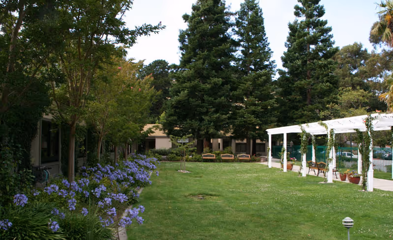 A well-maintained outdoor garden area with green grass, purple flowers along the left side, several tall trees in the background, wooden benches under the trees, and a white pergola with climbing plants and benches underneath on the right side.