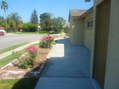Side exterior of a senior facility with a concrete walkway, garden beds, and blooming roses.
