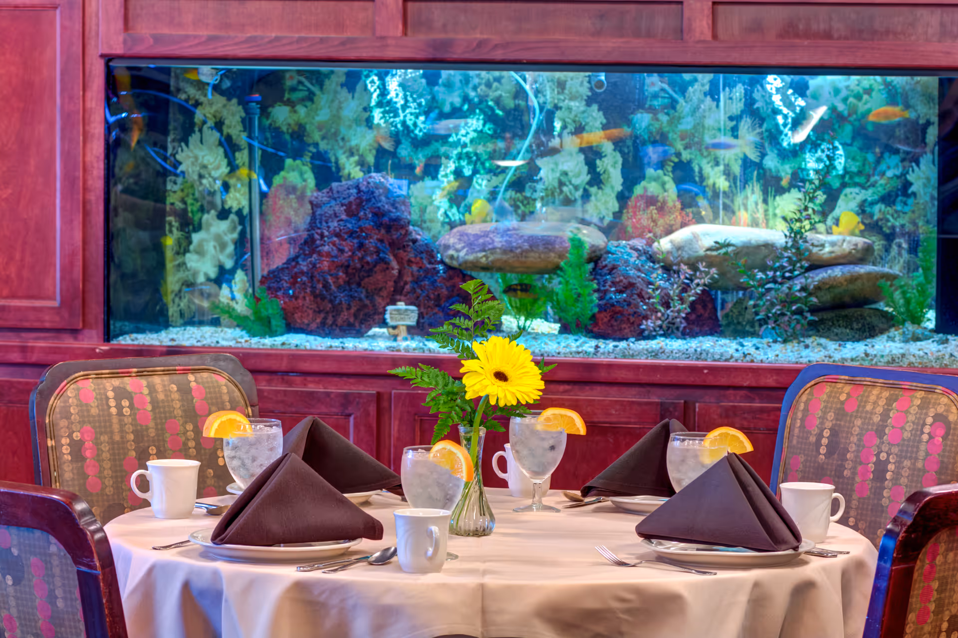 Round dining table set with folded napkins, glasses garnished with orange slices and a vase with a yellow flower in front of a large aquarium.