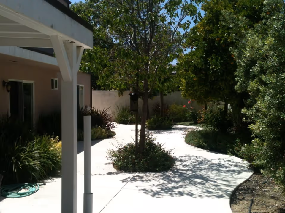 A winding concrete pathway surrounded by green trees and bushes in an outdoor garden area next to a building with beige walls and windows.