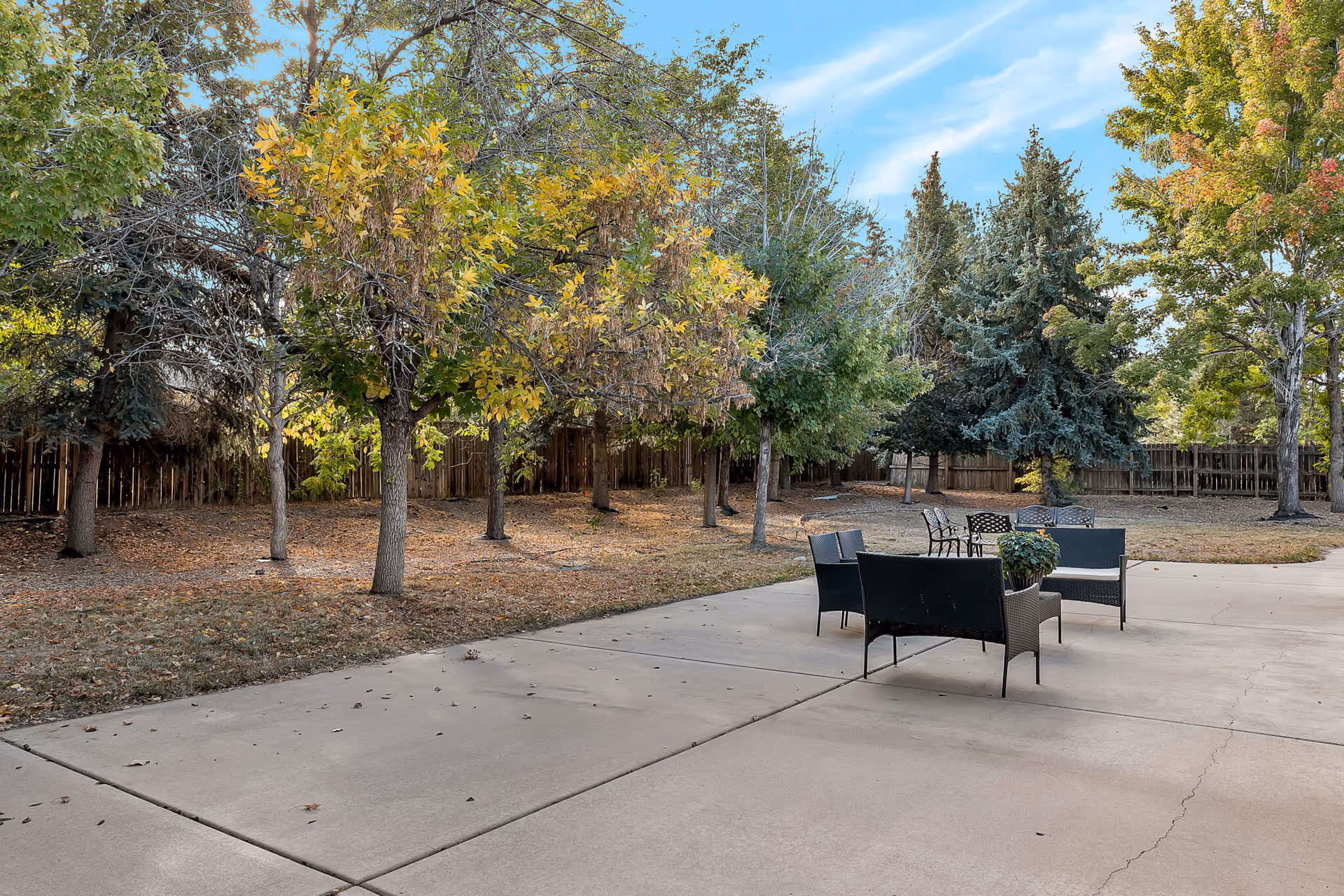 Outdoor patio area with several black wicker chairs and a small table with a potted plant, surrounded by trees with green and yellow leaves and a wooden fence in the background under a blue sky with some clouds.