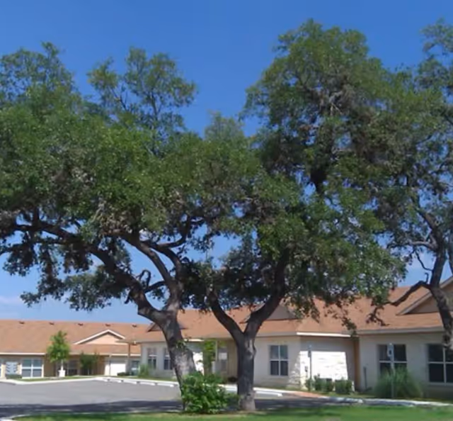 Exterior view of a single-story senior living facility building with a tan roof and light-colored walls, surrounded by large green trees and a clear blue sky.