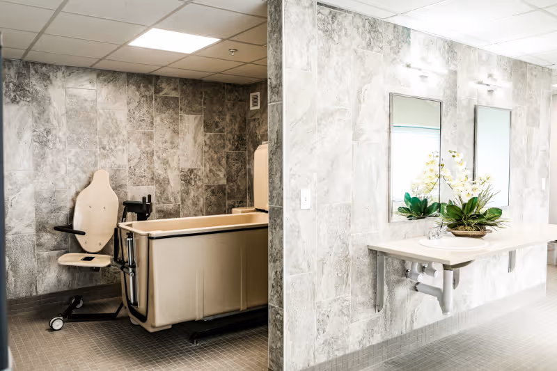 Accessible bathing area with a transfer chair beside a walk-in tub and a sink counter with mirrors and a plant.