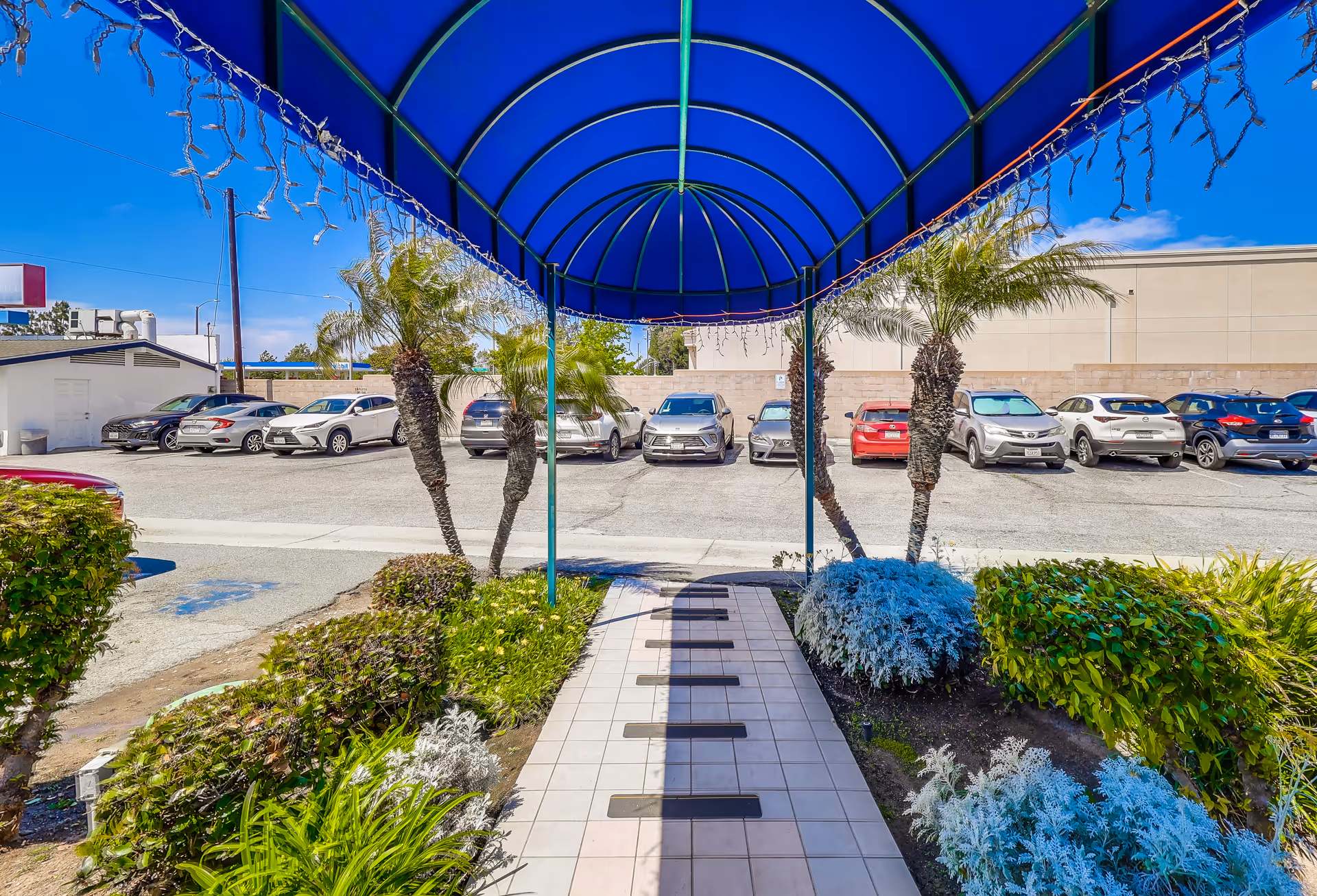 Tiled walkway under a blue arched canopy flanked by landscaping and palm trees leading to a parking lot with parked cars.