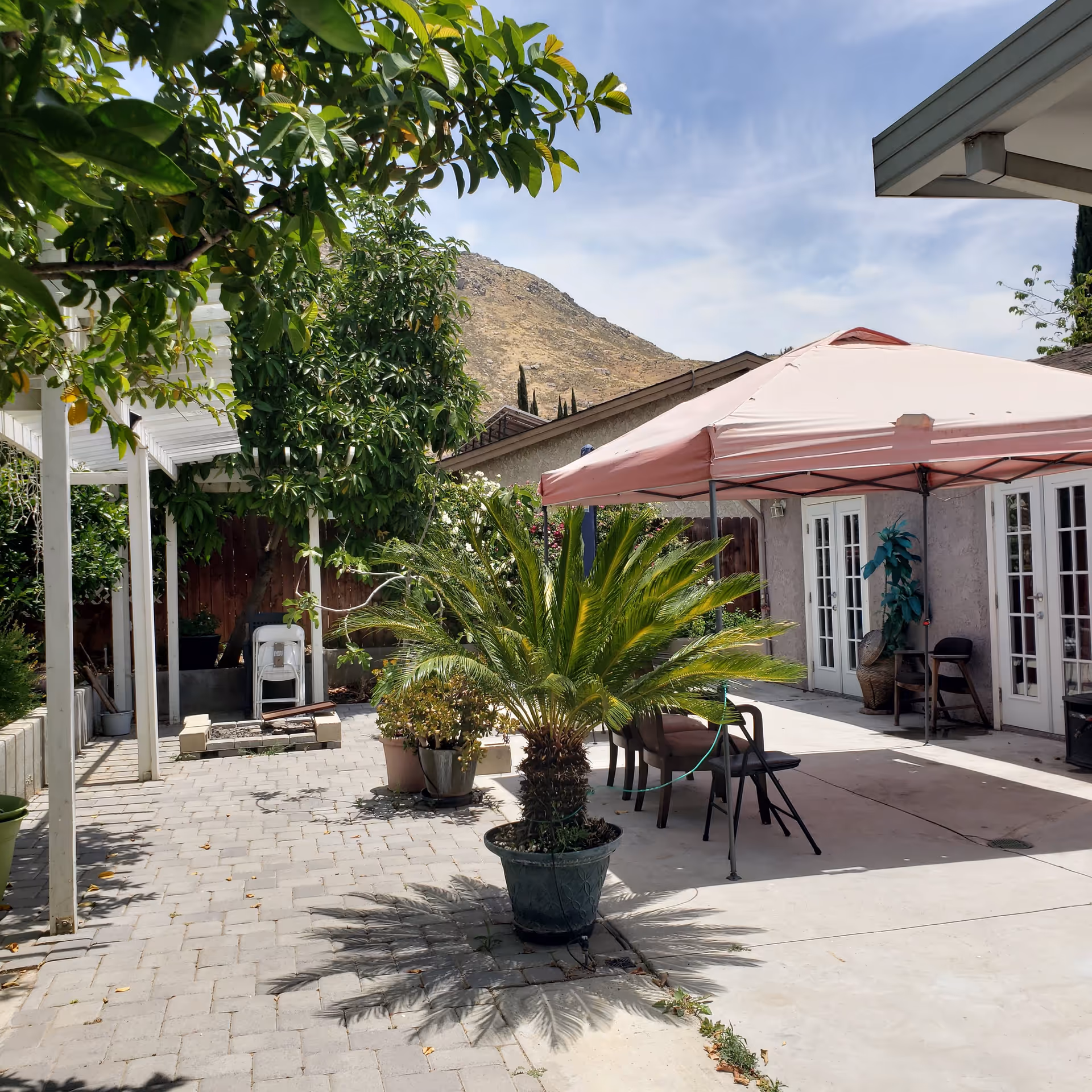 Outdoor patio area with a large potted palm plant in the center, a pink canopy tent with chairs underneath, and a building with multiple glass doors in the background. There are trees and plants along the left side and a mountain visible in the distance under a partly cloudy sky.