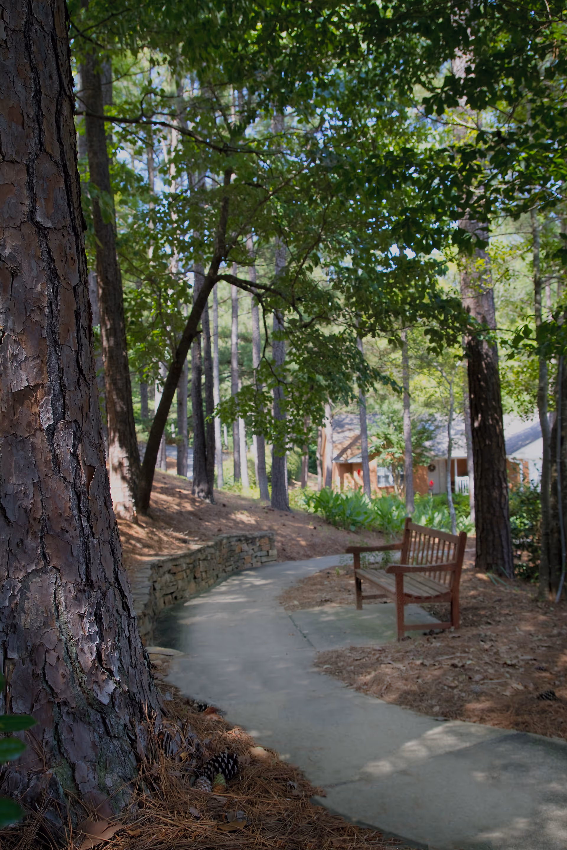 A shaded woodland walking path with a wooden bench beside it and buildings visible through the trees.
