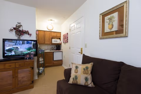 Small living area with a brown couch and pineapple-decor pillow, a TV on a wooden cabinet, and a kitchenette in the background.