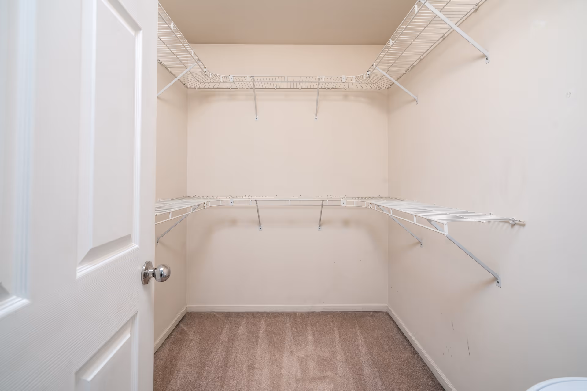 Empty walk-in closet with beige walls, carpeted floor, and white wire shelving on three sides. The closet door is open, showing a silver door knob.