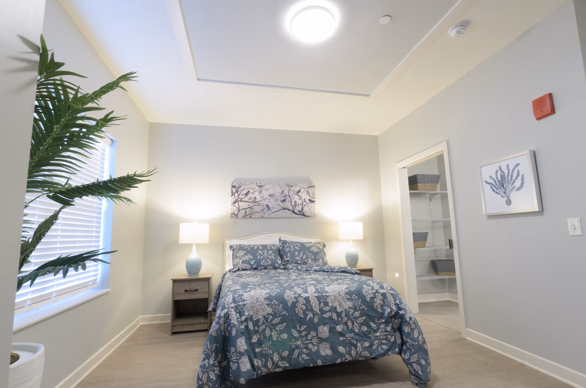 A bedroom with a bed covered in blue floral bedding, two bedside tables each with a lamp, a large potted plant near a window with blinds, a piece of wall art above the bed, and an open door leading to a closet with shelves and baskets.