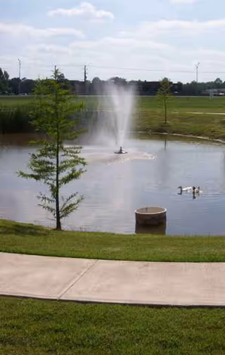 Pond with fountain and ducks, surrounded by trees and a sidewalk on grass.
