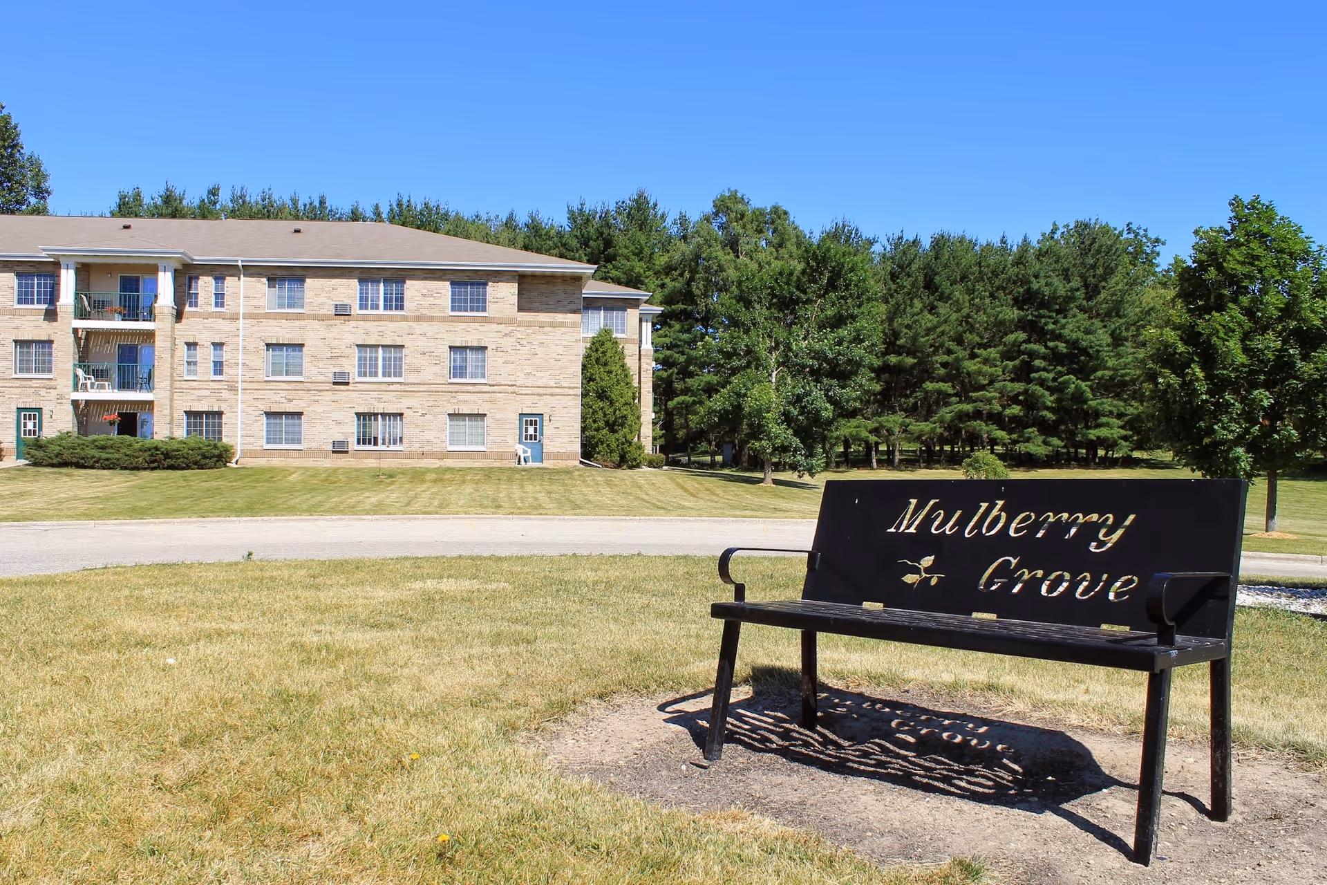 Outdoor view of a senior living facility with a three-story brick building in the background and a black metal bench in the foreground with the words 'Mulberry Grove' cut out on the backrest. The area is grassy with trees and a clear blue sky.