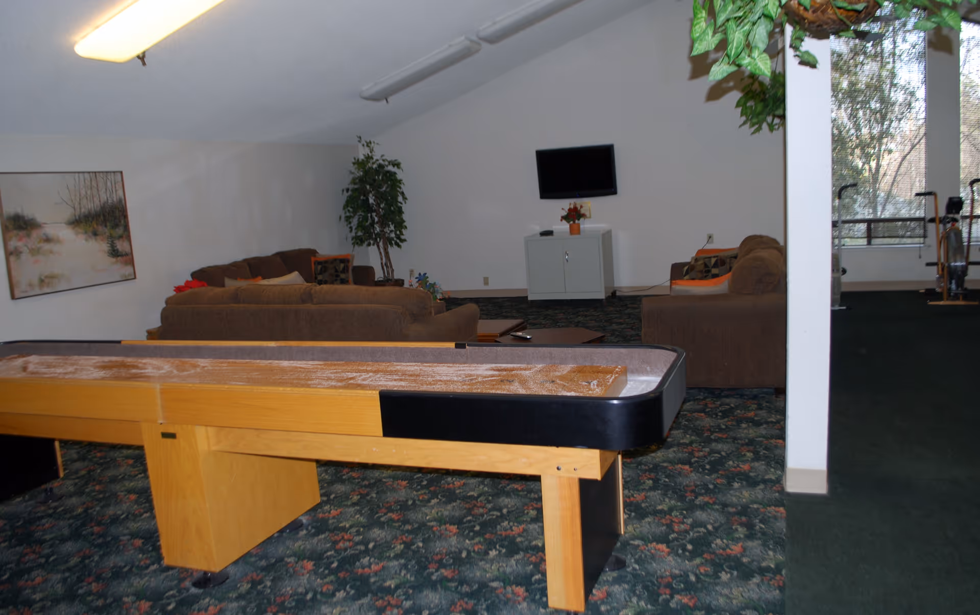 A common area with a shuffleboard table in the foreground, brown sofas arranged around a small table, a flat-screen TV mounted on the wall above a white cabinet, a potted plant, and large windows letting in natural light.