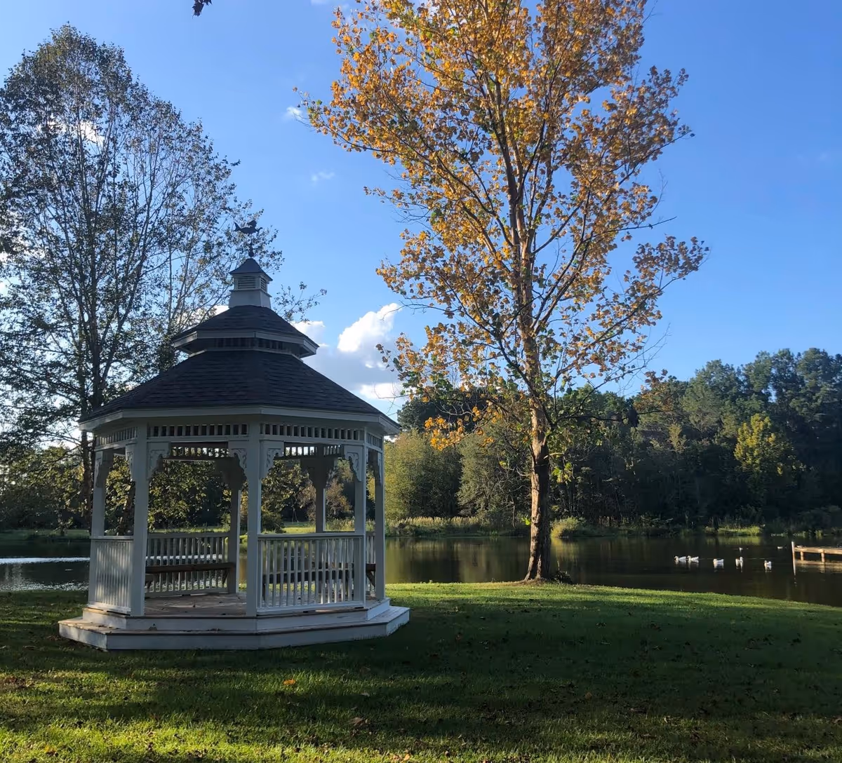 A white wooden gazebo on a grassy area near a pond with trees surrounding the water under a clear blue sky.