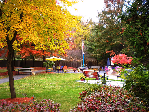 A vibrant outdoor garden area with green grass, colorful autumn trees with yellow, red, and orange leaves, several benches, picnic tables, and umbrellas. There is an American flag in the background surrounded by trees and shrubs.