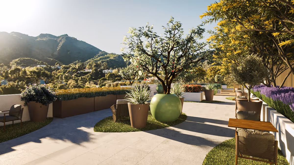 Sunlit outdoor terrace with large potted plants, seating, and views of tree-covered hills and mountains.