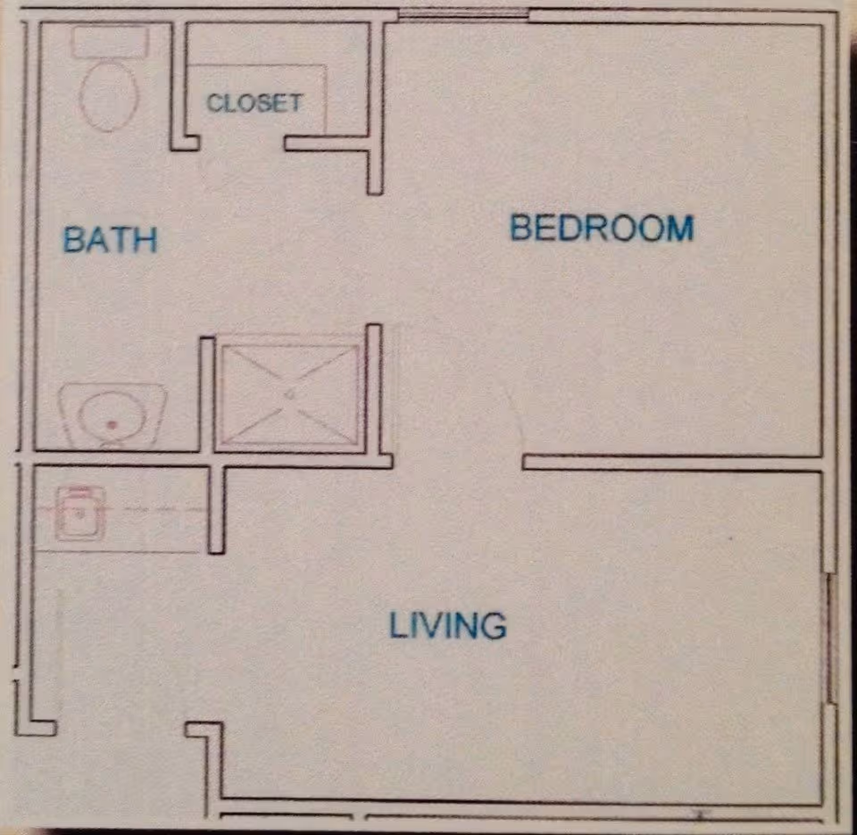 Floor plan layout showing a bedroom, living area, bathroom, and closet in a residential unit.