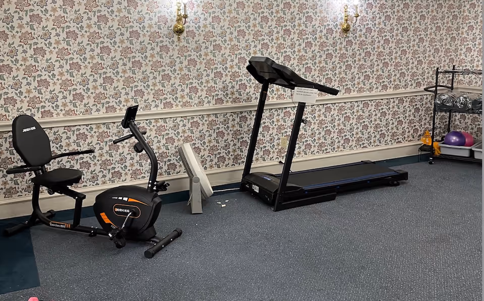 Small exercise room with a recumbent bike, treadmill, fan, and a shelf of exercise balls against floral wallpaper.