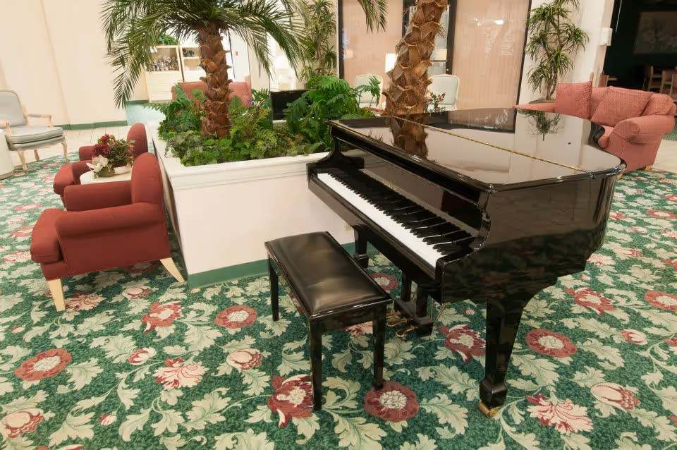 Interior view of a lounge area featuring a black grand piano with a matching bench on a floral patterned carpet. Surrounding the piano are several red upholstered armchairs and a large planter with tall palm plants. The room has a cozy and inviting atmosphere with additional seating and plants in the background.