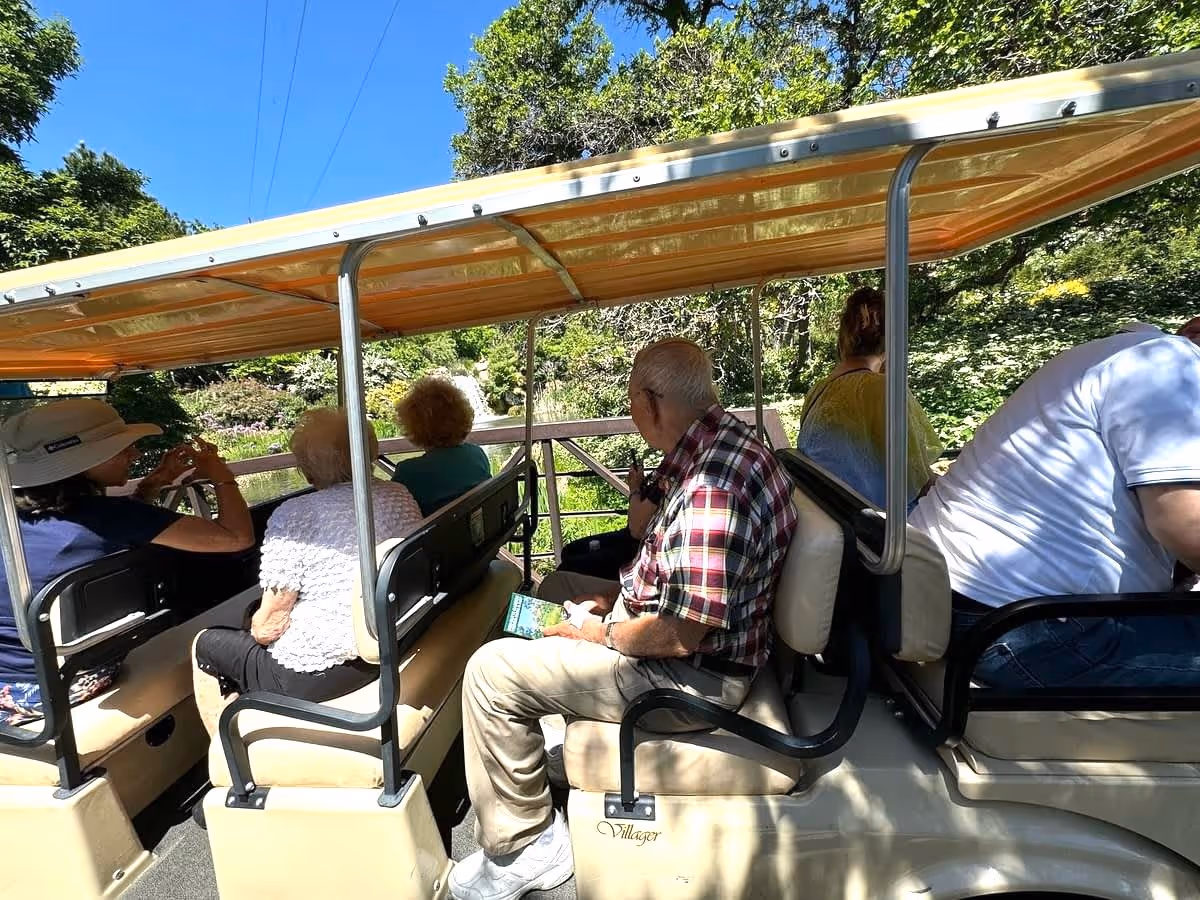 A group of elderly people and a few others seated on an open-sided tram or trolley with a yellow canopy, surrounded by lush green trees and plants under a clear blue sky.