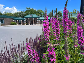 Close-up view of tall purple flowers in the foreground with a single-story brick building with green roofs and a covered entrance in the background under a blue sky with some clouds.