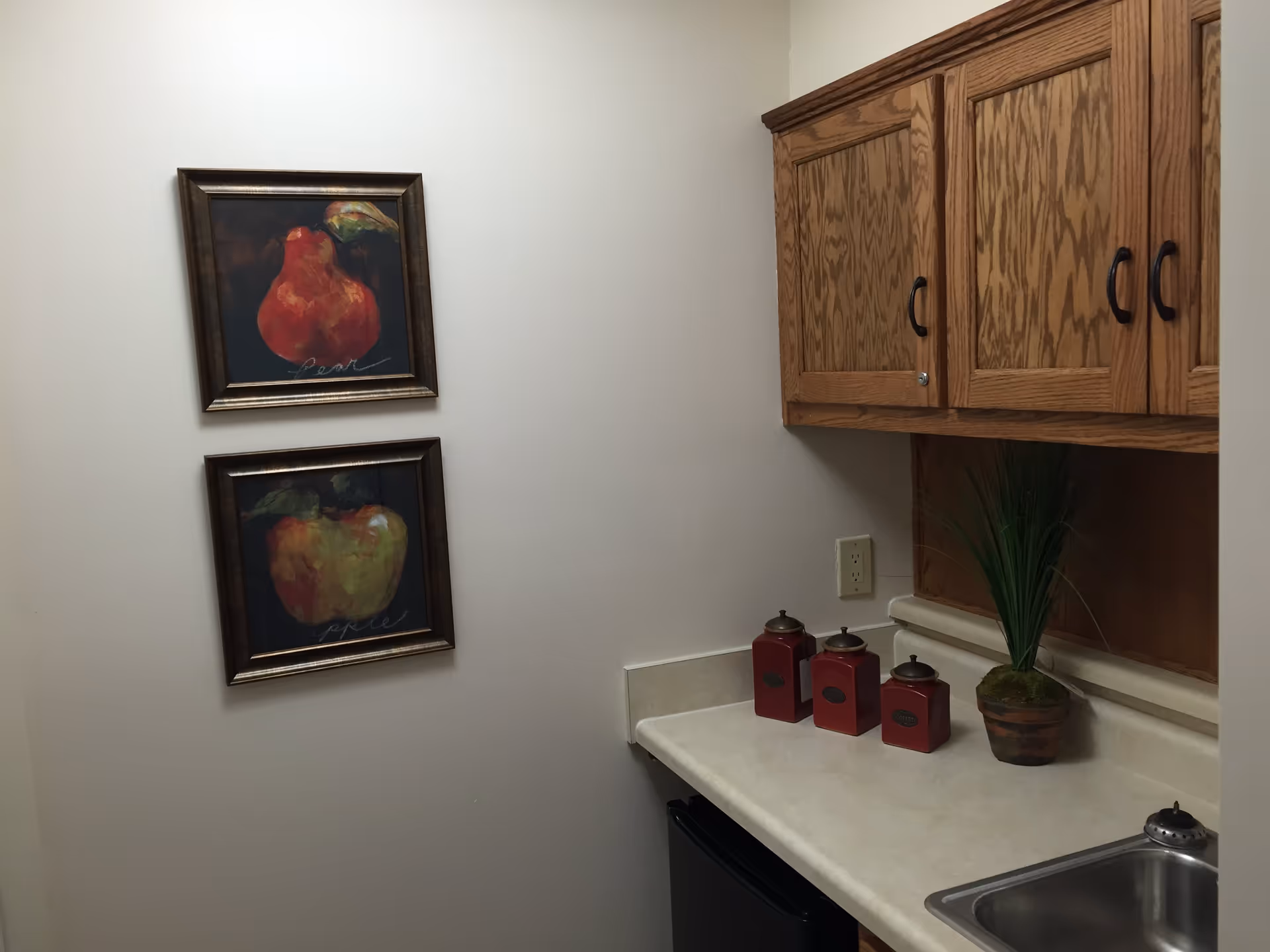 A small kitchen area with wooden cabinets mounted on the wall, a countertop with three red canisters labeled sugar, flour, and coffee, a small potted plant, and a stainless steel sink. On the adjacent wall, there are two framed paintings of fruit, one of a pear and one of an apple.