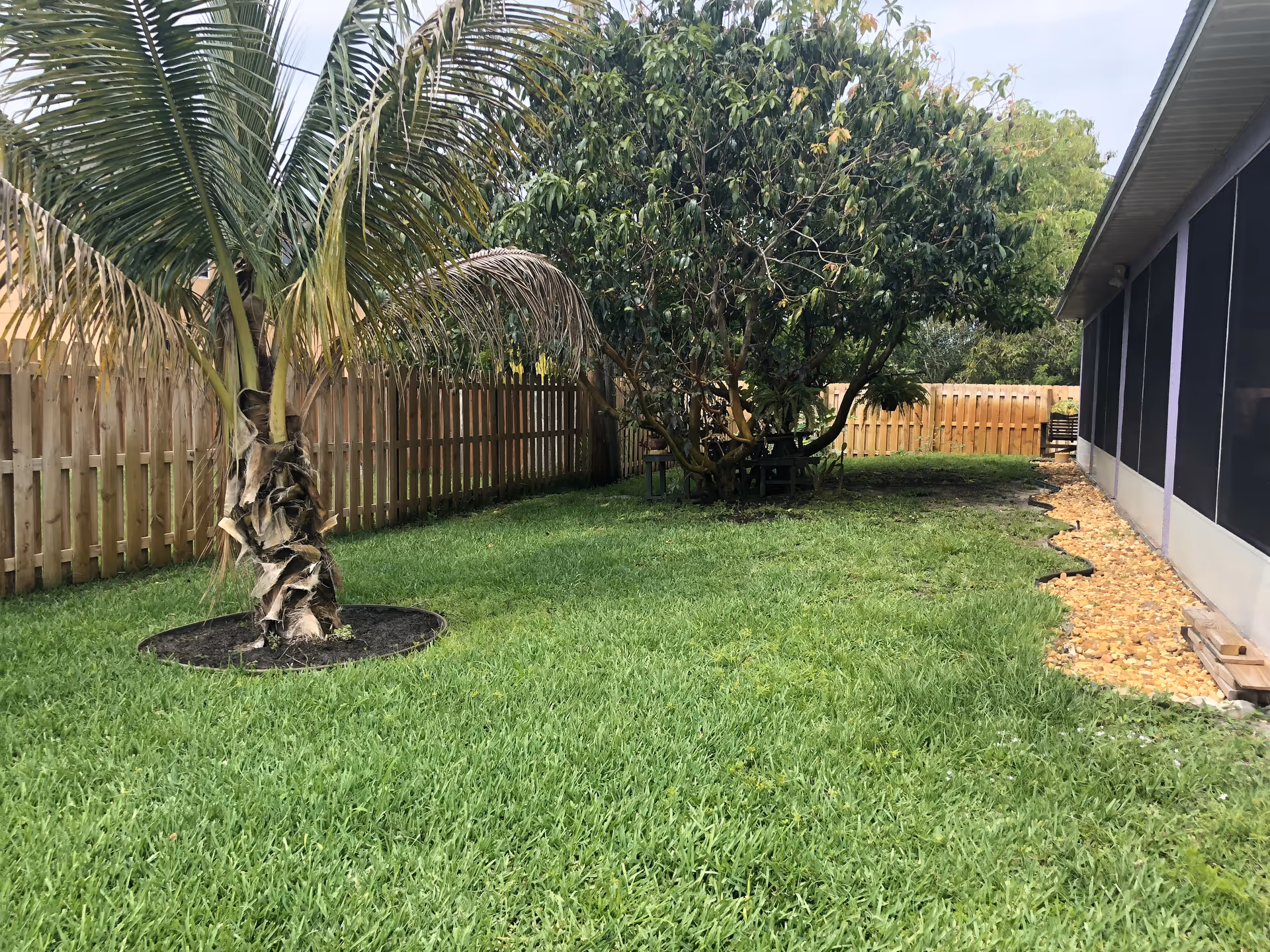 A fenced backyard area with green grass, a palm tree on the left, and a larger leafy tree with a picnic table underneath it. On the right side, there is a building with screened windows and a rock border along its base.